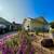 Cozy 1 Bed/1 Shared Bath Room in Peaceful Anaheim Hills | Available 7/ 11 thumbnail