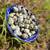 Jumbo quail eggs/ quail 3 thumbnail