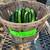 Farm Fresh Garden Produce  zuchini, Cucumber, 4 thumbnail