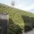 107 3/4 N Sweetzer St.-Renovated, Wash/Dry in Unit,  Nr Cedar Sinai 21 thumbnail