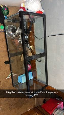 75 gallon tank (Brookville)63882391985411120