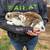 Bunnies 1 thumbnail