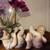 PIANO BABIES dolls antique 1 thumbnail