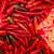 Peppers 1 thumbnail