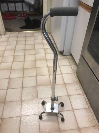 Walking Quad Cane 1