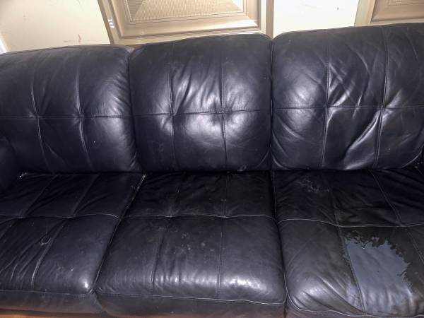 Leather couch 1