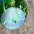Green Cala Lilies Art Glass Vase 8” 12 thumbnail