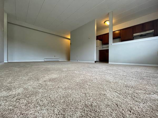 $1,055 / 1br - Buy SMART, Buy from US!! (Castle Shannon)64013367451265120
