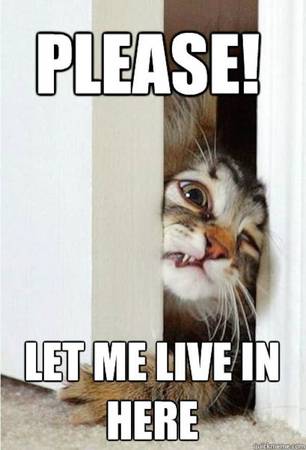 A Mitad de precio el primer mes de renta 1,2 & 3 Dormitorios..🏠 1