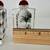 4 Chinese Reverse Painted Snuff Bottles in box 12 thumbnail