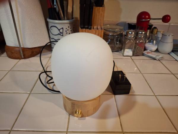 Project 62 Globe Desk Lamp 1