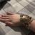 Stone Bracelets 1 thumbnail