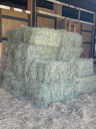 Square bales 1