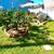 Two Houses For the Price of One! Close to Beach! 11 thumbnail