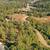 Pine Grove Bluffs 10 thumbnail