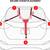 COMPACT TRUNK-MOUNT BICYCLE RACK 4 thumbnail