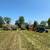 Hay bales 6 thumbnail