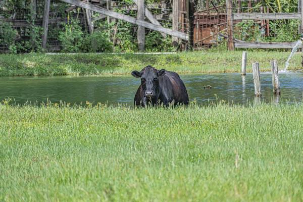$799,000 PRICE REDUCED - Turnkey 10-Acre Ranch – Rare Opportunity!63838121137411122