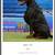 The best imported European Dobermans a total pkg ready now 2 thumbnail