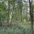 12.7-ACRES WOODED, VACANT LAND IN THE CITY OF MERRILL 5 thumbnail