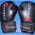 Phoenix Flight Fight Boxing MMA Gloves 12 Ounces Black 1 thumbnail