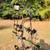 BOWTECH REIGN 6 Compound Bow Pkg- Loaded-LIKE NEW 7 thumbnail