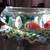 Glass Bow Fish tank 4 thumbnail