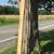 Random Locust Posts! Garden, Fence, etc. 7’ Some shorter/longer! 3 thumbnail