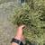 2025 Premium Horse Quality Hay (Alfalfa, Orchard-Mix, Pure Orchard 2 thumbnail