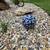 Handmade Penny Gazing Ball & colored Gazing balls 5 thumbnail