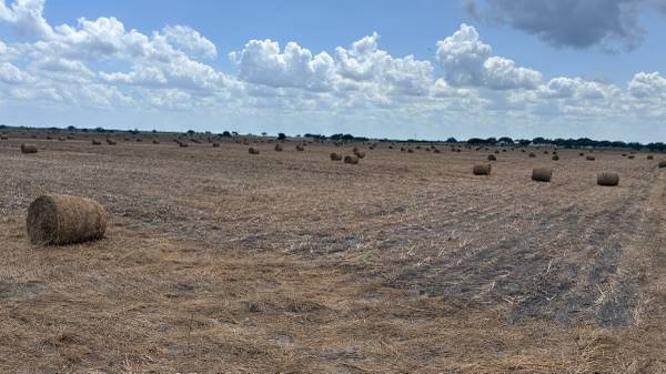Milo stuble hay bales 1