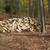 Hardwood Firewood 1 thumbnail