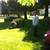 GARDEN MAINTENANCE ONE A WEEK  EVERY 2 WEEKS OR ONE A MONTHS 4 thumbnail