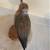 Hand Carved Shore Bird Signed Ron Dombrowski American Woodcock? 6 thumbnail