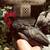 100% Non-GMO Organic pet Tiny Kikirki chicken hen rooster pair 7 thumbnail