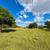 6± Acres with Home & Iprovements; 272± Acres Grassland/Timber - 3 Trac 15 thumbnail