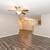 Check out our 2 bed / 1 bath. Every convenience your heart desires! 10 thumbnail