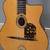 Stringphonic Advanced gypsy jazz guitar with pickup and poly case 3 thumbnail