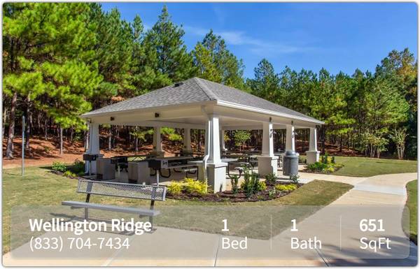 $1,196 / 1br - 651ft2 - This place will feel like home! 1 bed, 1 bath available! 651 Sq Ft! (Covington)63964398157442121