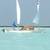 Sea Pearl 21 Sailboat for Sale $5000Cdn/$3600US OBO 1 thumbnail