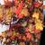 Red fall leaves artificial tree very rare must go! 5 thumbnail