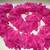New 'Curly Silk Ruffled' Scarf 1 thumbnail