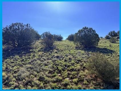 $200 Hermosas vistas, terreno de 1,04 acres fuera de la red eléctrica