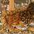 Polish Silkie chicken 4 thumbnail