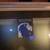 Stationary Window ~ Diffused / Privacy Glass 2 thumbnail