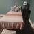 Room Rental **ages 40 and up 4 thumbnail