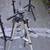 Camera Tripod 1 thumbnail