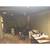 PAINTING - EXTERIOR & INTERIOR - QUALITY & LOW PRICING! 21 thumbnail