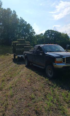 Pure alfalfa square bales 1