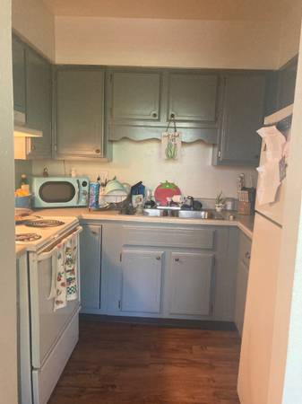$300 / 2br - 1000ft2 - On the Strip (Old Colorado)63687154425345121